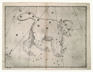Alexander Mair - Ursa Major (from Johannes Bayer's Uranometria), 1603