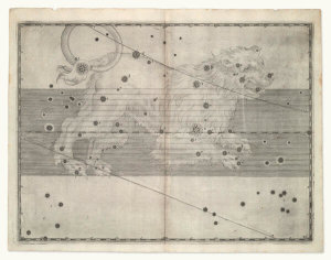 Alexander Mair - Leo (from Johannes Bayer's Uranometria), 1603