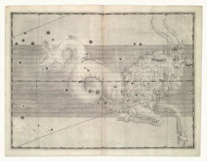 Alexander Mair - Capricornus (from Johannes Bayer's Uranometria), 1603