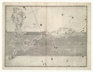 Alexander Mair - Pisces (from Johannes Bayer's Uranometria), 1603