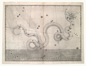Alexander Mair - Serpens (from Johannes Bayer's Uranometria), 1603