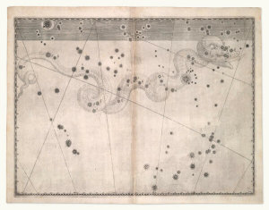 Alexander Mair - Hydra (from Johannes Bayer's Uranometria), 1603