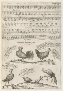 Athanasius Kircher - The songs of a nightingale, cock, hen, cuckoo, quail, and parrot (Musurgia universalis), 1650