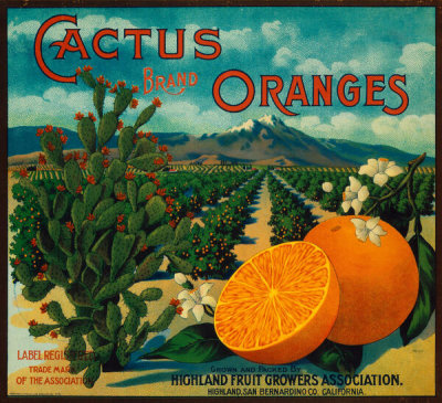 Western Litho. Co., Los Angeles - Cactus Brand Oranges crate label, ca. 1916