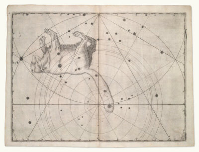 Alexander Mair - Ursa Minor (from Johannes Bayer's Uranometria), 1603