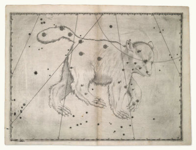 Alexander Mair - Ursa Major (from Johannes Bayer's Uranometria), 1603