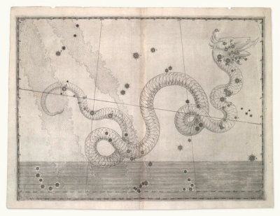 Alexander Mair - Serpens (from Johannes Bayer's Uranometria), 1603
