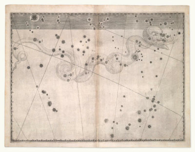Alexander Mair - Hydra (from Johannes Bayer's Uranometria), 1603