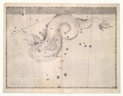 Alexander Mair - Piscis Notius (from Johannes Bayer's Uranometria), 1603
