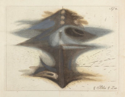 Jan Christiaan Sepp - Wire explosion pattern, 1786