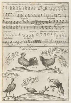 Athanasius Kircher - The songs of a nightingale, cock, hen, cuckoo, quail, and parrot (Musurgia universalis), 1650