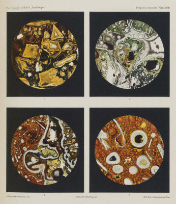 Great Britain. Challenger Office - Deep Sea deposits, plate XVIII, 1882-1895